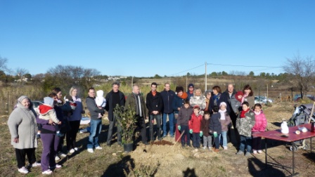 Une naissance un arbre / A.R.B.R.E.