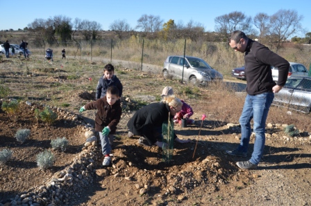 Une naissance un arbre / A.R.B.R.E.