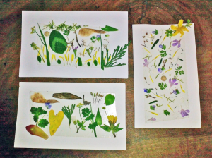 Animation %22Les plus belles histoires de nature%22 10