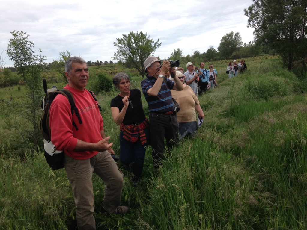 ARBRE sortie ornithologique