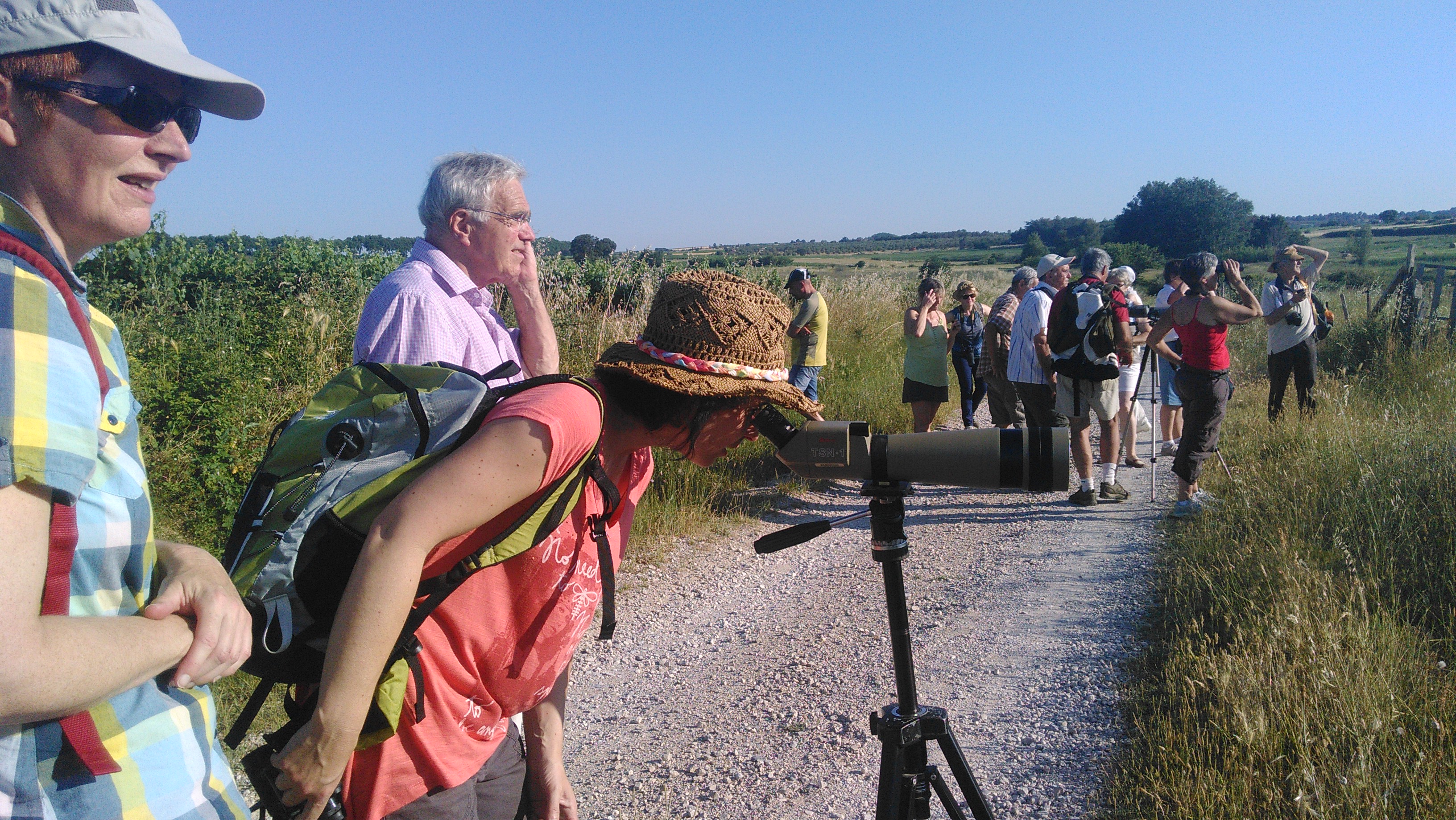 ©sibille pour A.R.B.R.E.