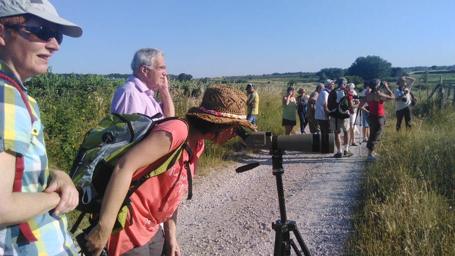 ©sibille pour A.R.B.R.E.