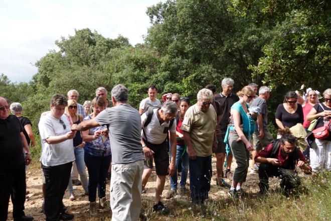 Bota / photo : Frédérique CARAGLIO-VINOTTI 